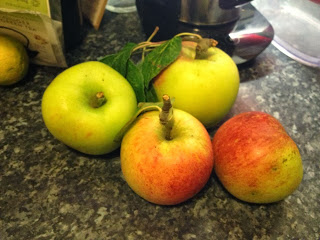 Quick apple and cherry pie for pudding