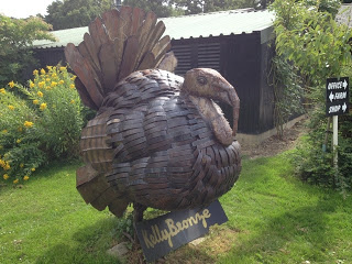 Kelly Bronze Turkeys – Thanksgiving is coming – How to cook the perfect turkey!