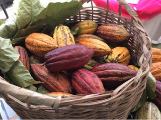 Grenada; Island Paradise – part 2
