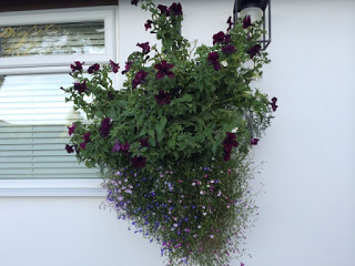 Devon: Prestoller House Bed and Breakfast and a Giveaway