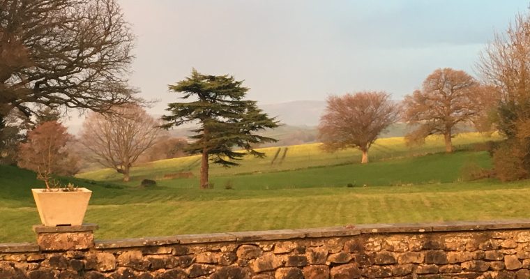 Somerset: The Retreat – Resetting My Creativity