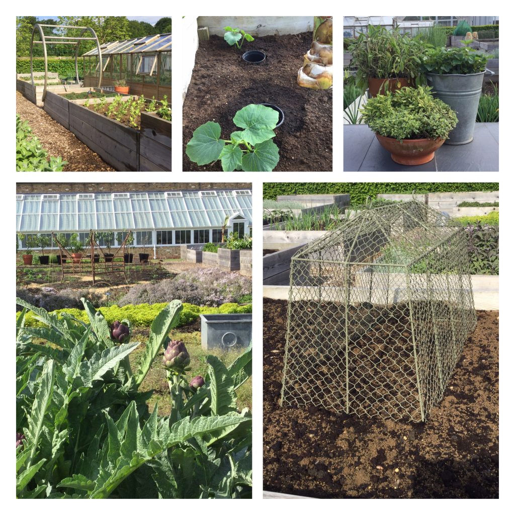 The Glasshouse Restaurant