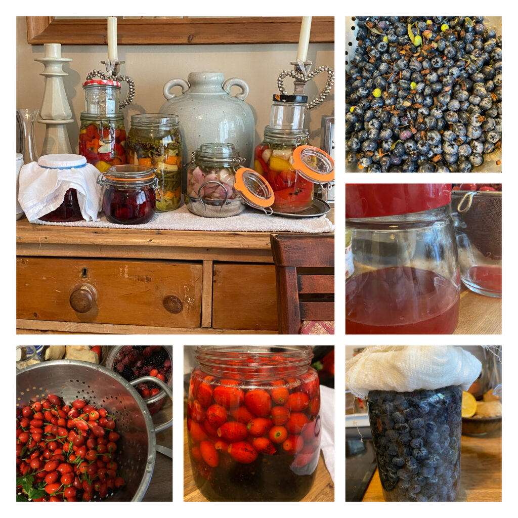 homemade fruit vinegars